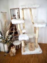 Laden Sie das Bild in den Galerie-Viewer, Naturkratzbaum Olli & Willi