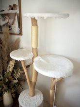Laden Sie das Bild in den Galerie-Viewer, Naturkratzbaum Bonny & Minny