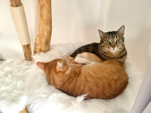 Laden Sie das Bild in den Galerie-Viewer, Naturkratzbaum Felix, Filou, Loui & Leo