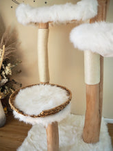 Laden Sie das Bild in den Galerie-Viewer, Naturkratzbaum Mogli & Ivy