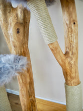 Laden Sie das Bild in den Galerie-Viewer, Naturkratzbaum Willi, Alischa, Ayla & Aslan
