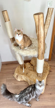Laden Sie das Bild in den Galerie-Viewer, Naturkratzbaum Minnie, Pieps, Mia, Hector, Lias & Amelie