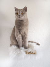 Laden Sie das Bild in den Galerie-Viewer, 3 Komponenten Set Lou & Levi