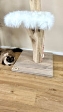 Laden Sie das Bild in den Galerie-Viewer, Naturkratzbaum Kira & Mila