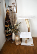 Laden Sie das Bild in den Galerie-Viewer, Naturkratzbaum Lilly & Jeany