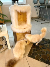 Laden Sie das Bild in den Galerie-Viewer, Doppelkatzenhocker Titano & Xaver