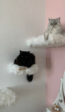 Laden Sie das Bild in den Galerie-Viewer, 3 Komponenten Set Gipsy, Vassili, Miso & Motte