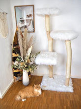 Laden Sie das Bild in den Galerie-Viewer, Naturkratzbaum Mio & Django