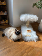 Laden Sie das Bild in den Galerie-Viewer, Mini - Snackbar Jason, Ghost & Shadow