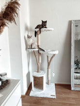 Laden Sie das Bild in den Galerie-Viewer, Naturkratzbaum Bonny & Minny