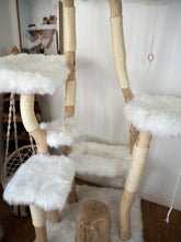 Laden Sie das Bild in den Galerie-Viewer, Naturkratzbaum Olli & Willi