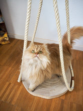 Laden Sie das Bild in den Galerie-Viewer, Baumscheibenschaukel