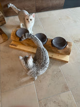 Laden Sie das Bild in den Galerie-Viewer, 3er Fressbar Lies‘l und Gust’l