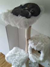 Laden Sie das Bild in den Galerie-Viewer, Naturkratzbaum Mucki & Raudy