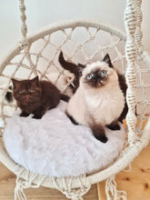 Laden Sie das Bild in den Galerie-Viewer, Naturkratzbaum Lio, Fly, Tiger & Cruella