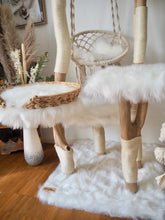 Laden Sie das Bild in den Galerie-Viewer, Naturkratzbaum Zola, Elmo, Tilda, Baily, Simba & Birne