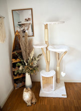 Laden Sie das Bild in den Galerie-Viewer, Naturkratzbaum Bonny & Minny
