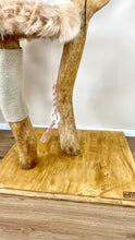 Laden Sie das Bild in den Galerie-Viewer, Naturkratzbaum Coco & Jambo