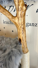 Laden Sie das Bild in den Galerie-Viewer, Naturkratzbaum Louis