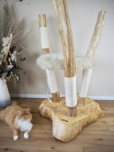 Laden Sie das Bild in den Galerie-Viewer, Naturkratzbaum Minnie, Pieps, Mia, Hector, Lias & Amelie