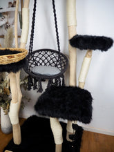 Laden Sie das Bild in den Galerie-Viewer, Naturkratzbaum Mini & Mounty