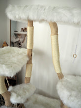 Laden Sie das Bild in den Galerie-Viewer, Naturkratzbaum Olli & Willi