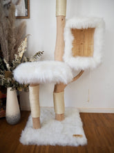 Laden Sie das Bild in den Galerie-Viewer, Naturkratzbaum Mucki & Raudy