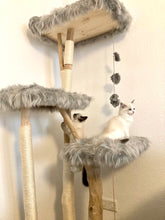 Laden Sie das Bild in den Galerie-Viewer, Naturkratzbaum Tabby & Quinn