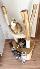 Laden Sie das Bild in den Galerie-Viewer, Naturkratzbaum Minnie, Pieps, Mia, Hector, Lias & Amelie