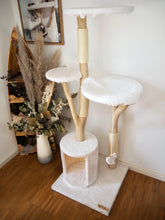 Laden Sie das Bild in den Galerie-Viewer, Naturkratzbaum Bonny & Minny