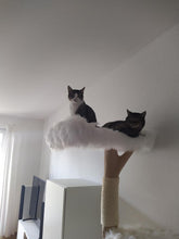 Laden Sie das Bild in den Galerie-Viewer, Naturkratzbaum Mucki & Raudy