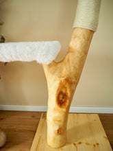 Laden Sie das Bild in den Galerie-Viewer, Naturkratzbaum Lio, Fly, Tiger & Cruella