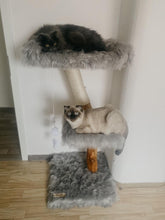 Laden Sie das Bild in den Galerie-Viewer, Naturkratzbaum Lanny & Archie