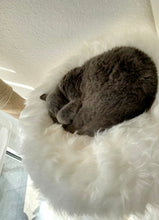 Laden Sie das Bild in den Galerie-Viewer, Naturkratzbaum Mio & Django