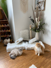 Laden Sie das Bild in den Galerie-Viewer, Komplett Set Twinky & Mowgli