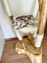 Laden Sie das Bild in den Galerie-Viewer, Naturkratzbaum Minnie, Pieps, Mia, Hector, Lias & Amelie