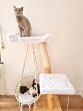Laden Sie das Bild in den Galerie-Viewer, Naturkratzbaum Lio, Fly, Tiger & Cruella
