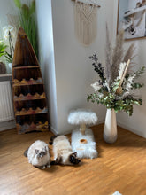 Laden Sie das Bild in den Galerie-Viewer, Mini - Snackbar Jason, Ghost & Shadow