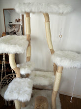 Laden Sie das Bild in den Galerie-Viewer, Naturkratzbaum Olli & Willi