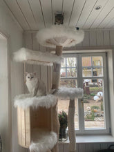 Laden Sie das Bild in den Galerie-Viewer, Naturkratzbaum Mauzer, Putzi, Marie & Kaschmir