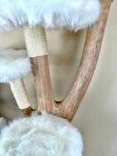 Laden Sie das Bild in den Galerie-Viewer, Naturkratzbaum Bella, Gigi & Fibi