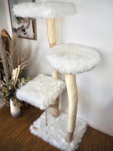 Laden Sie das Bild in den Galerie-Viewer, Naturkratzbaum Mio & Django