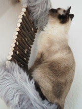 Laden Sie das Bild in den Galerie-Viewer, 3 Komponenten Set Minnie, Pieps, Hector, Mia, Lias & Amelie