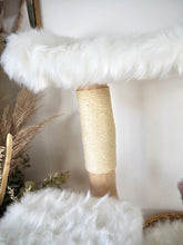 Laden Sie das Bild in den Galerie-Viewer, Naturkratzbaum Kiwi