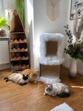 Laden Sie das Bild in den Galerie-Viewer, Doppelkatzenhocker Tim & Struppi