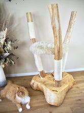 Laden Sie das Bild in den Galerie-Viewer, Naturkratzbaum Minnie, Pieps, Mia, Hector, Lias & Amelie