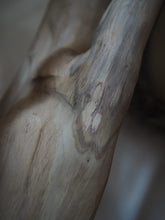 Laden Sie das Bild in den Galerie-Viewer, Naturkratzbaum Minnie, Pieps, Hector, Mia, Lias & Amelie