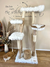 Laden Sie das Bild in den Galerie-Viewer, Naturkratzbaum Anton & Theo