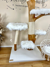 Laden Sie das Bild in den Galerie-Viewer, Naturkratzbaum Lux & Lucifer