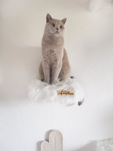 Laden Sie das Bild in den Galerie-Viewer, 3 Komponenten Set Lou & Levi